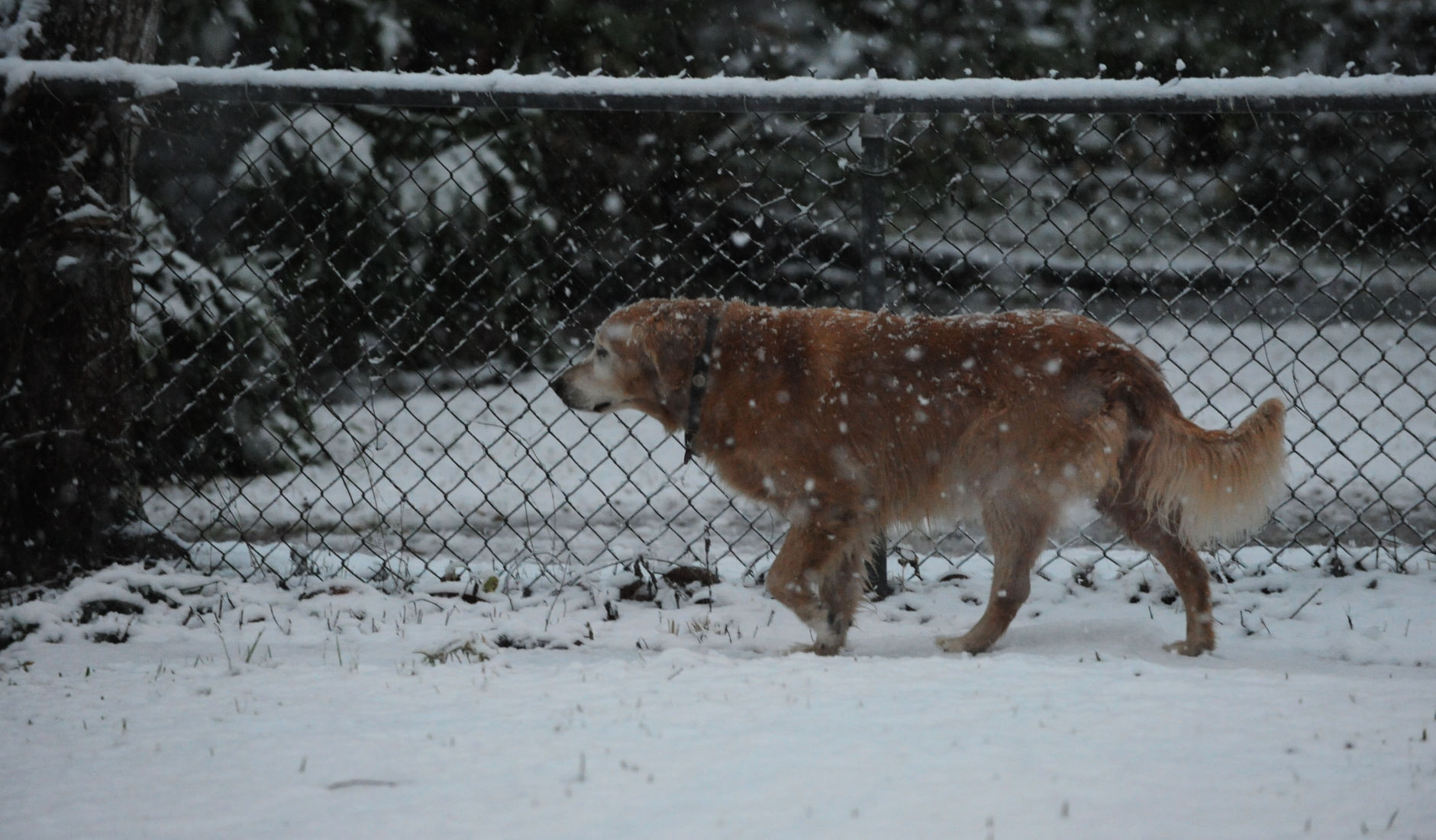 fea snow 34.jpg